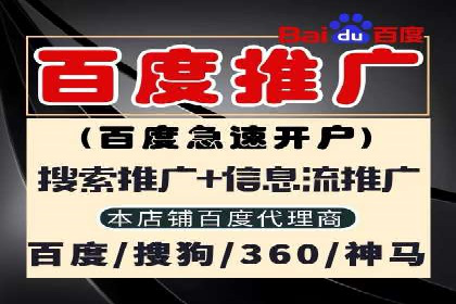 SEM托管实战：某电商平台的成功经验